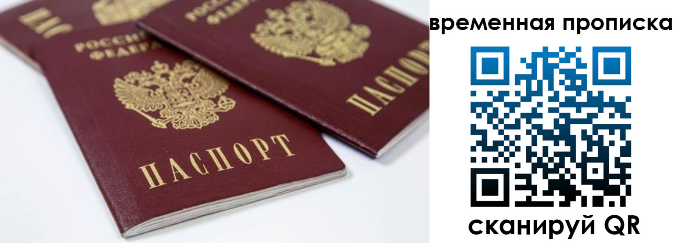 прописка для школы в Поворино